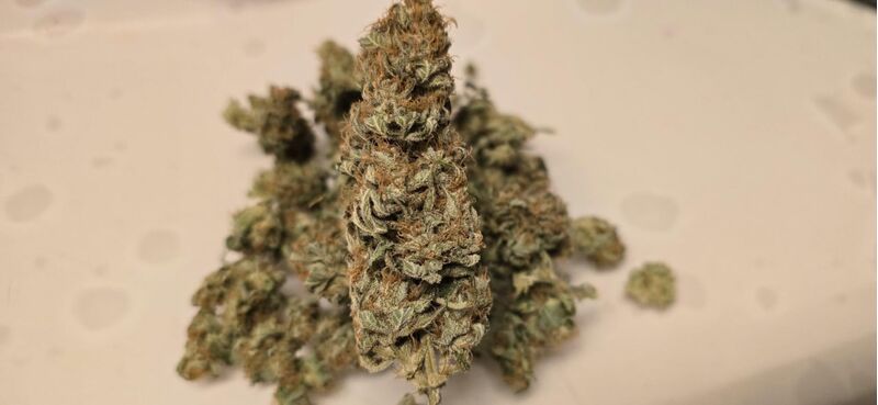 Gorilla Super Glue, Фасовка: 5, изображение 10
